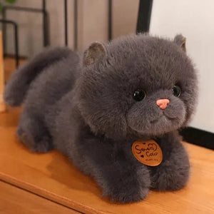 Kitty Comfort Plushies