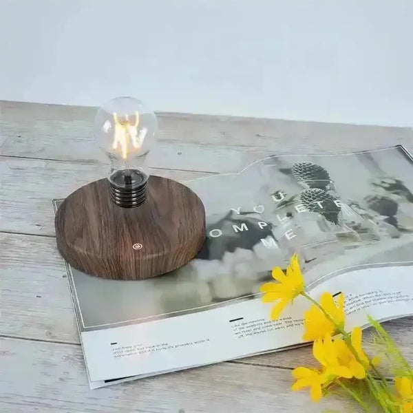 Levitating LED Night Lamp - Bear Hugs