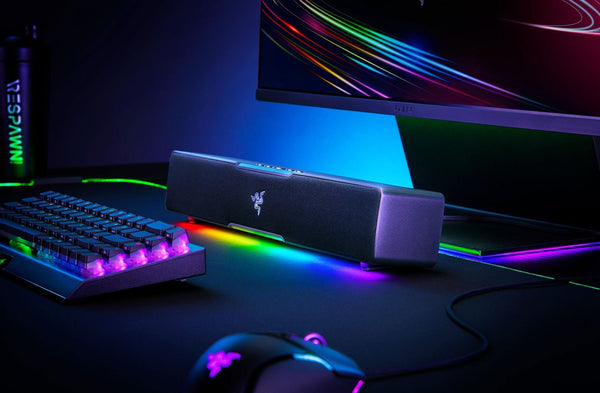 Razer Leviathan V2 X, USB Type-C Powered PC Gaming Soundbar - Bear Hugs