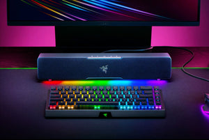 Razer Leviathan V2 X, USB Type-C Powered PC Gaming Soundbar - Bear Hugs