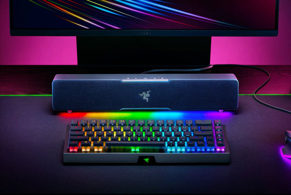 Razer Leviathan V2 X, USB Type-C Powered PC Gaming Soundbar - Bear Hugs