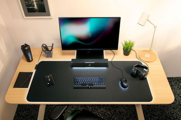 Razer Leviathan V2 X, USB Type-C Powered PC Gaming Soundbar - Bear Hugs