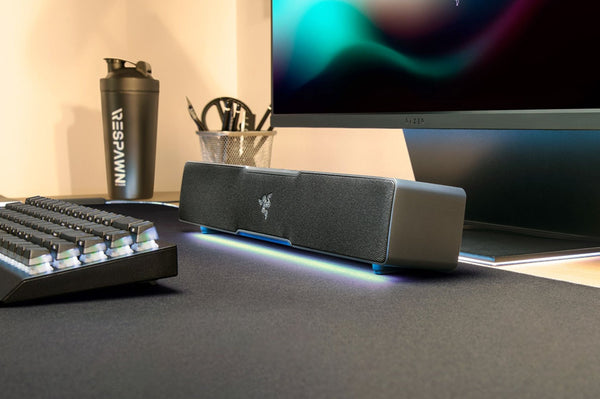 Razer Leviathan V2 X, USB Type-C Powered PC Gaming Soundbar - Bear Hugs