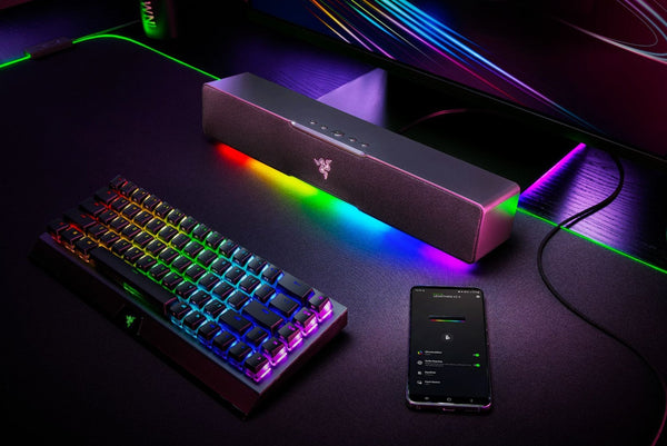 Razer Leviathan V2 X, USB Type-C Powered PC Gaming Soundbar - Bear Hugs